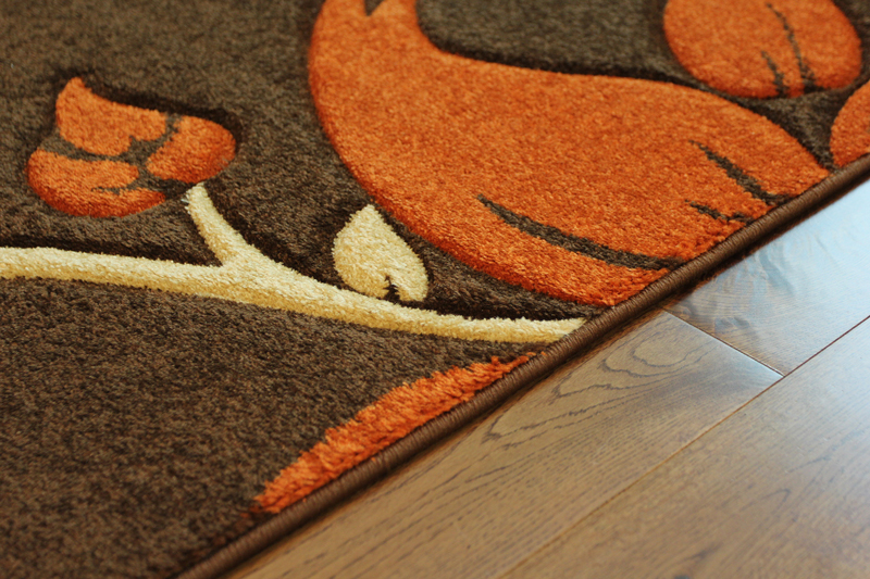 Burnt Orange Rug Celestina Kidu0027s Surya Havana Thick Fl Burnt Orange Brown Beige Cream Soft Hallway Runner Rugs